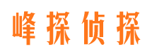 宾县市婚外情调查